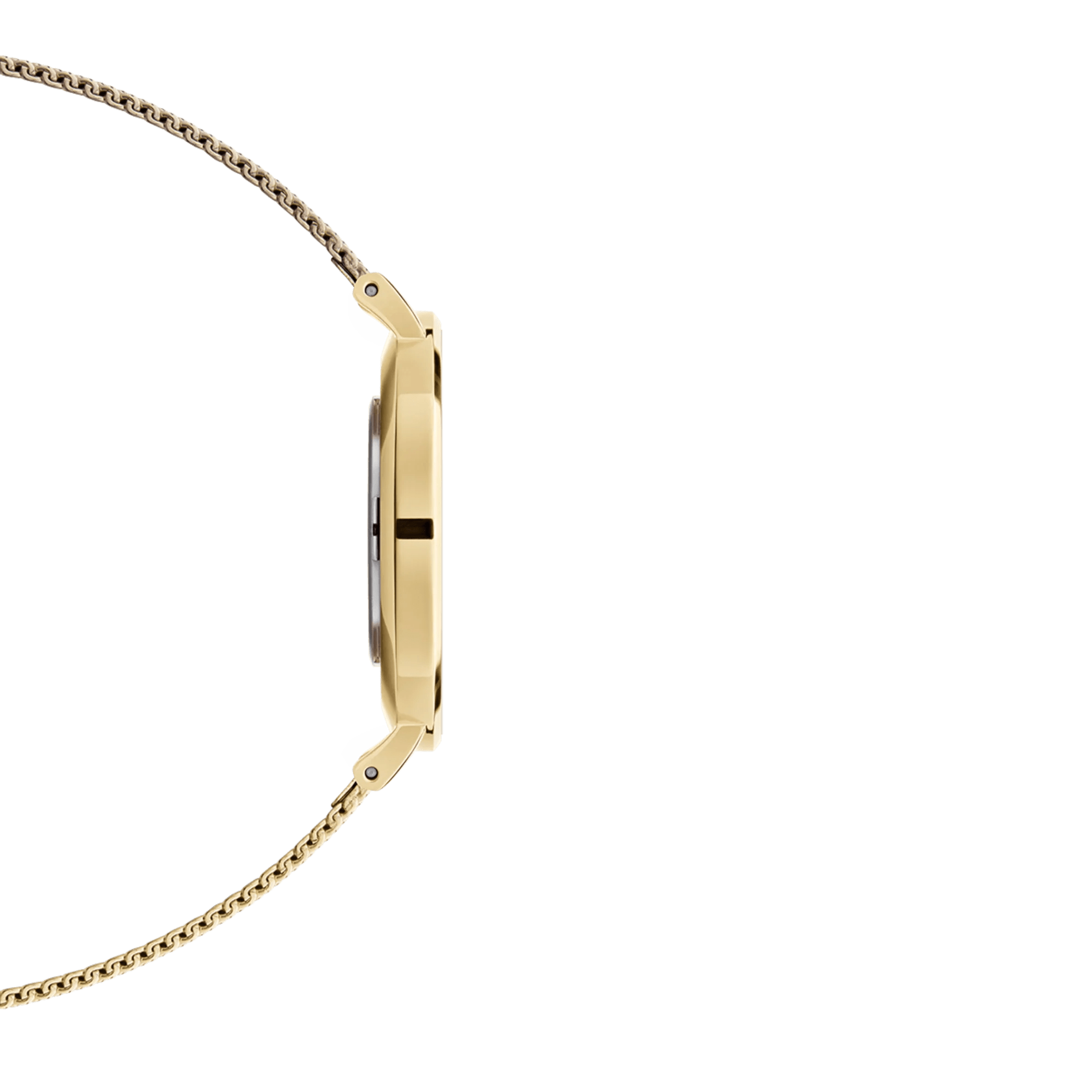 Daniel Wellington Ladies Watch Dw00100346