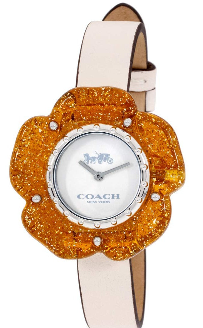 Coach Perry 14503050