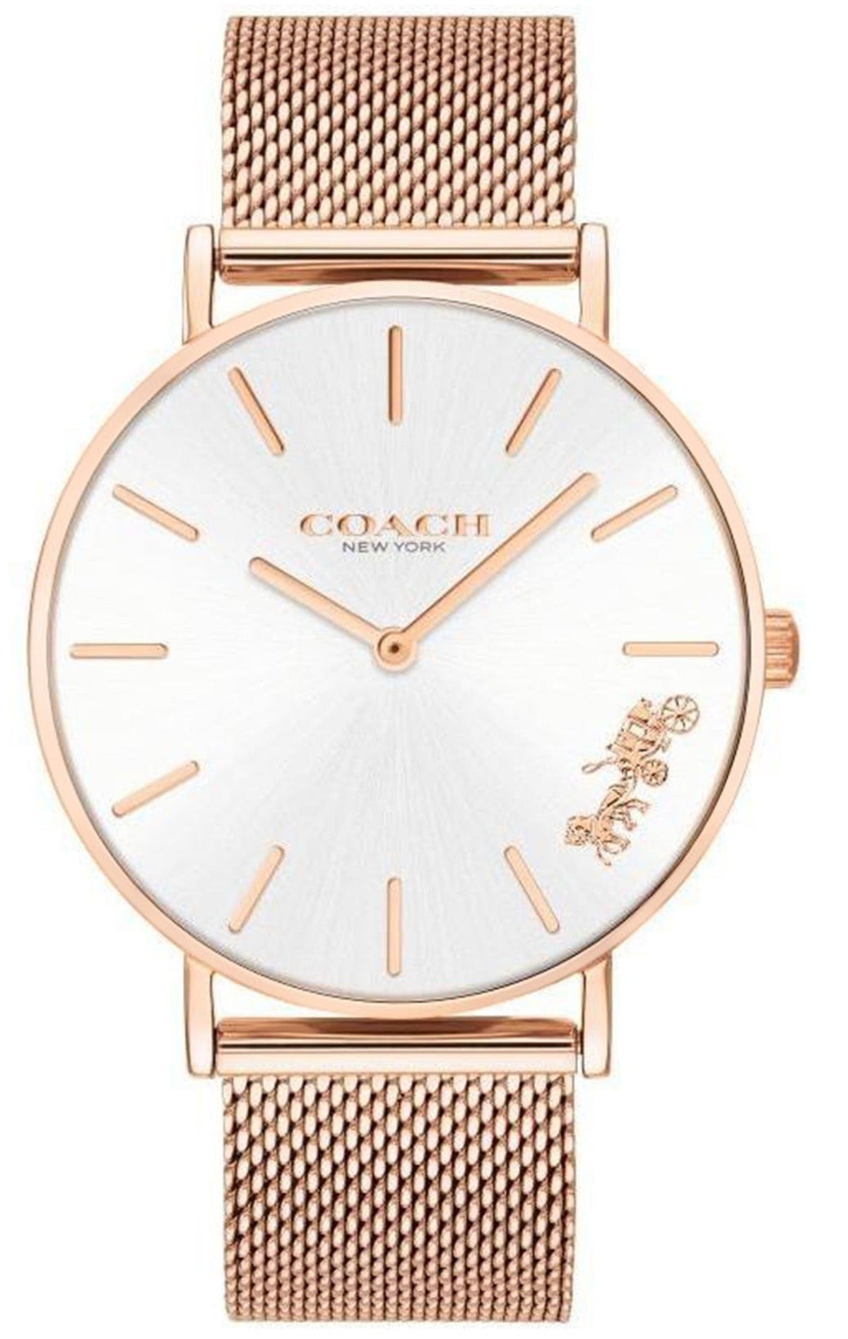 Coach Perry White Dial 14503126