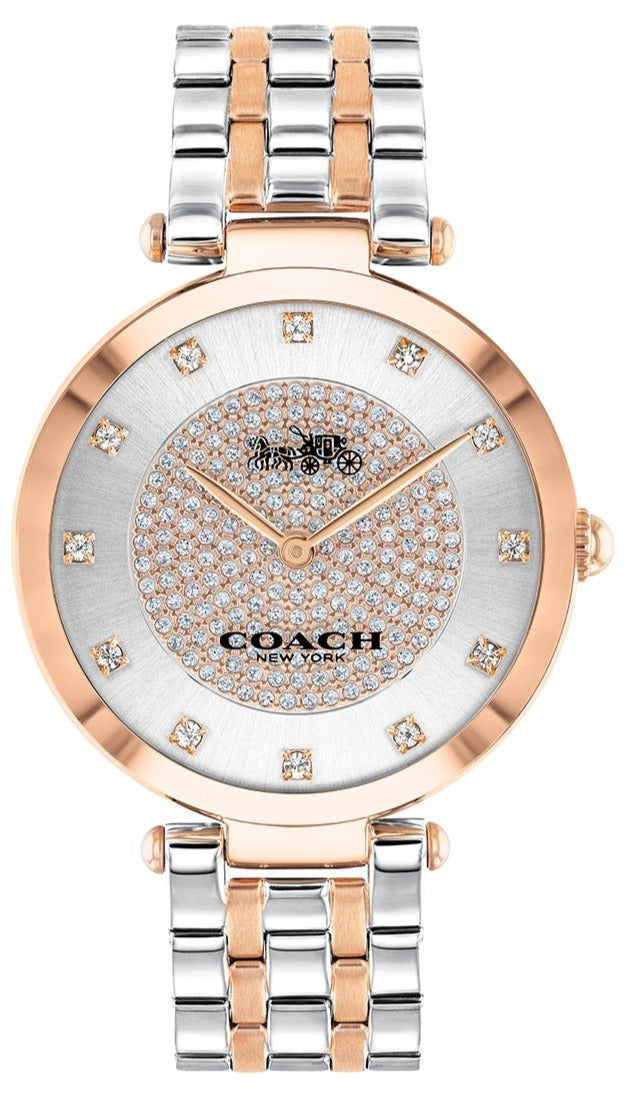 Coach Park Silver Dial 14503644