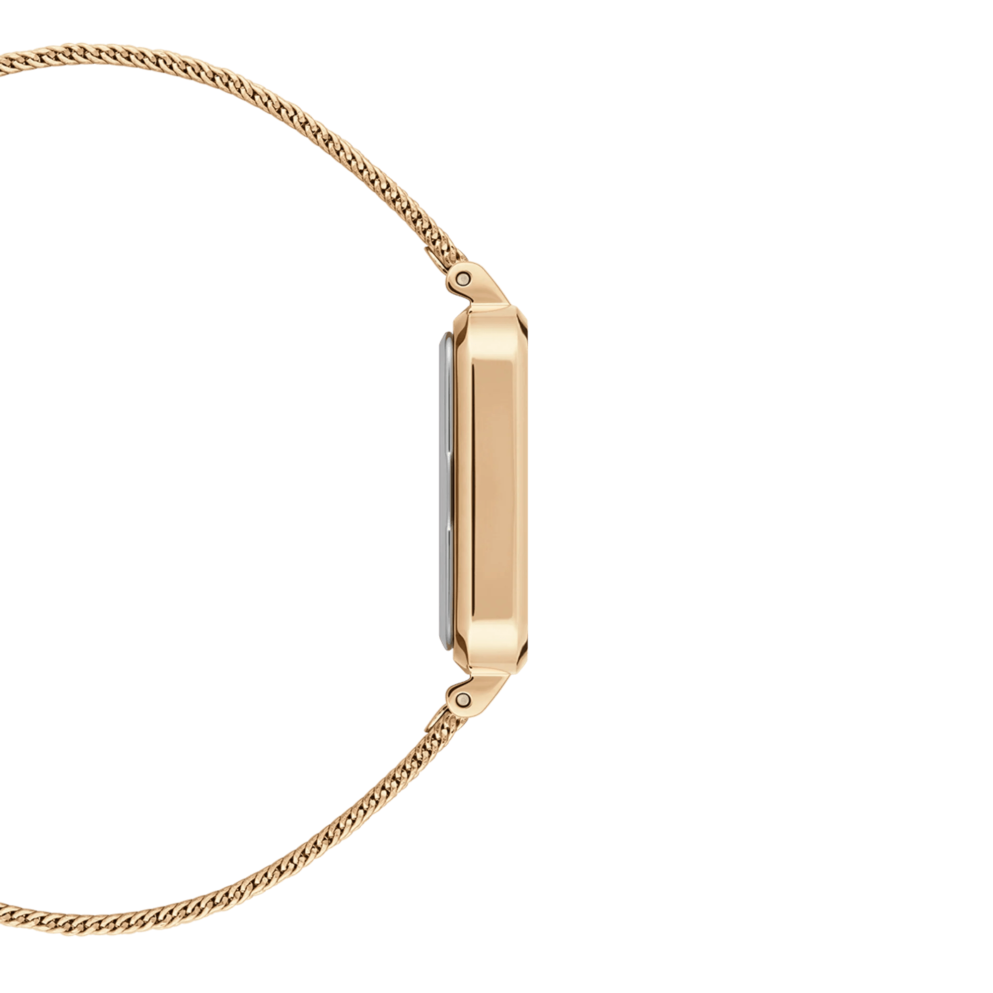 Daniel Wellington Ladies Gold Watch Dw00100556 Copy