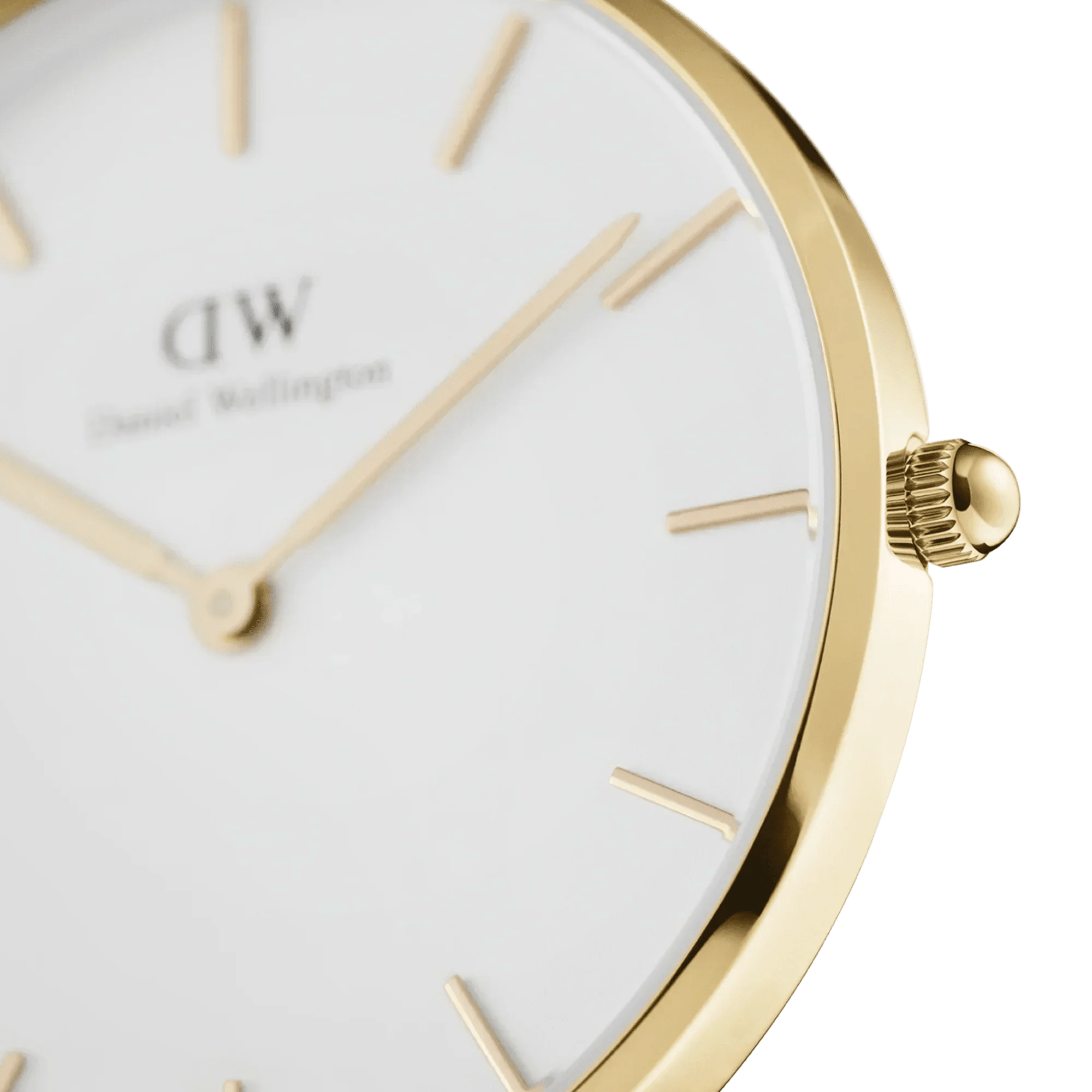 Daniel Wellington Ladies Watch Dw00100346 - Image 3