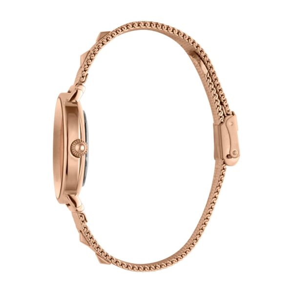 Just Cavalli SET Steel Mesh Rose Gold - alternate view