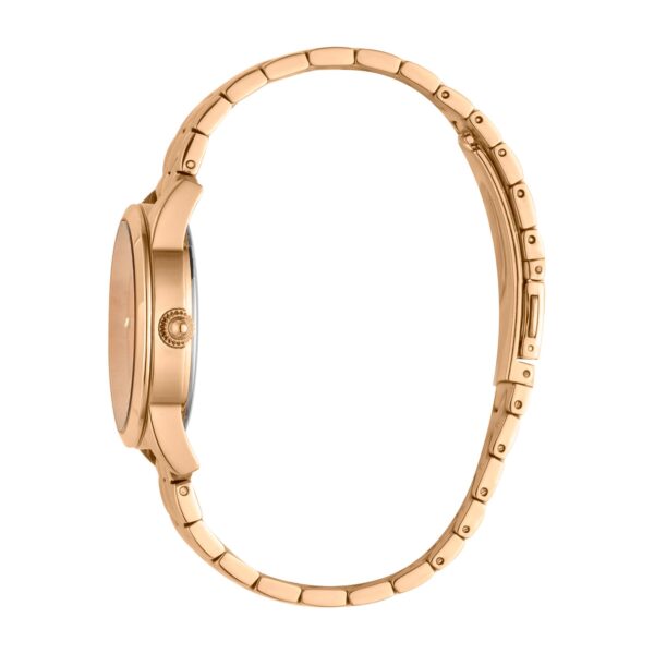 Just Cavalli SET Steel Rose Gold Zircons - alternate view