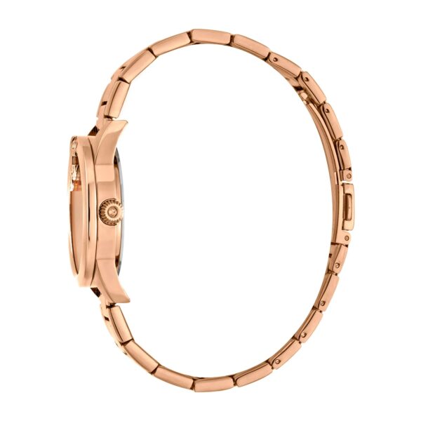 Just Cavalli Logomania SET Steel Rose Gold Zebra Zircons - alternate view