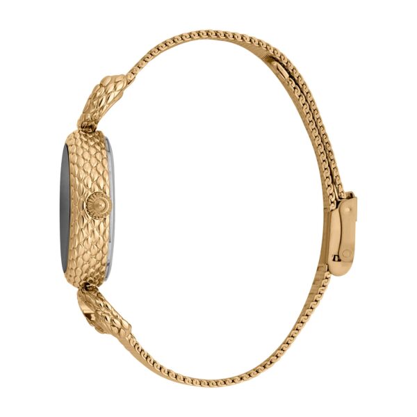 Just Cavalli Snake Inside Gold Grey - alternate view
