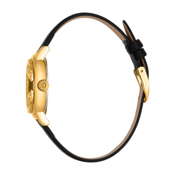 Just Cavalli Presto Leather Gold - alternate view