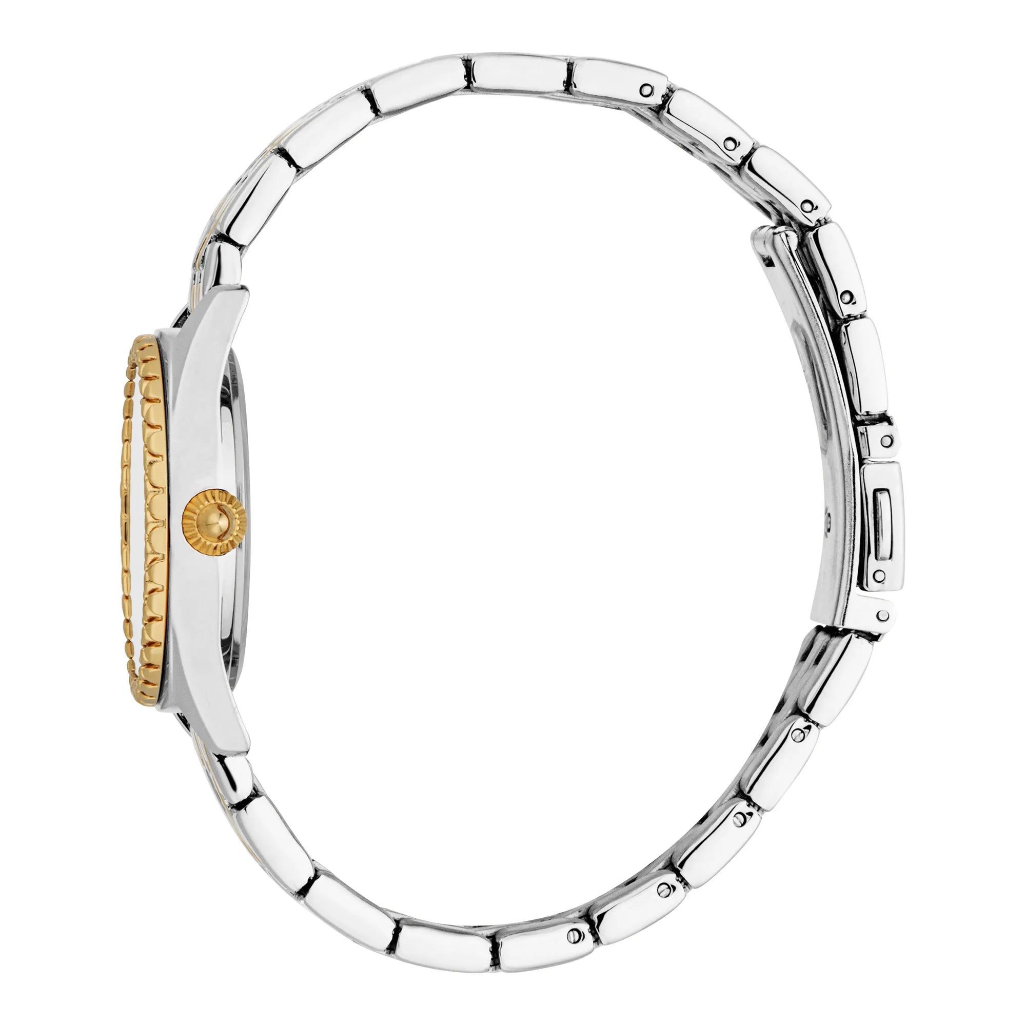 Just Cavalli Indomitable Animalier Two Tones YG Silver - Image 3