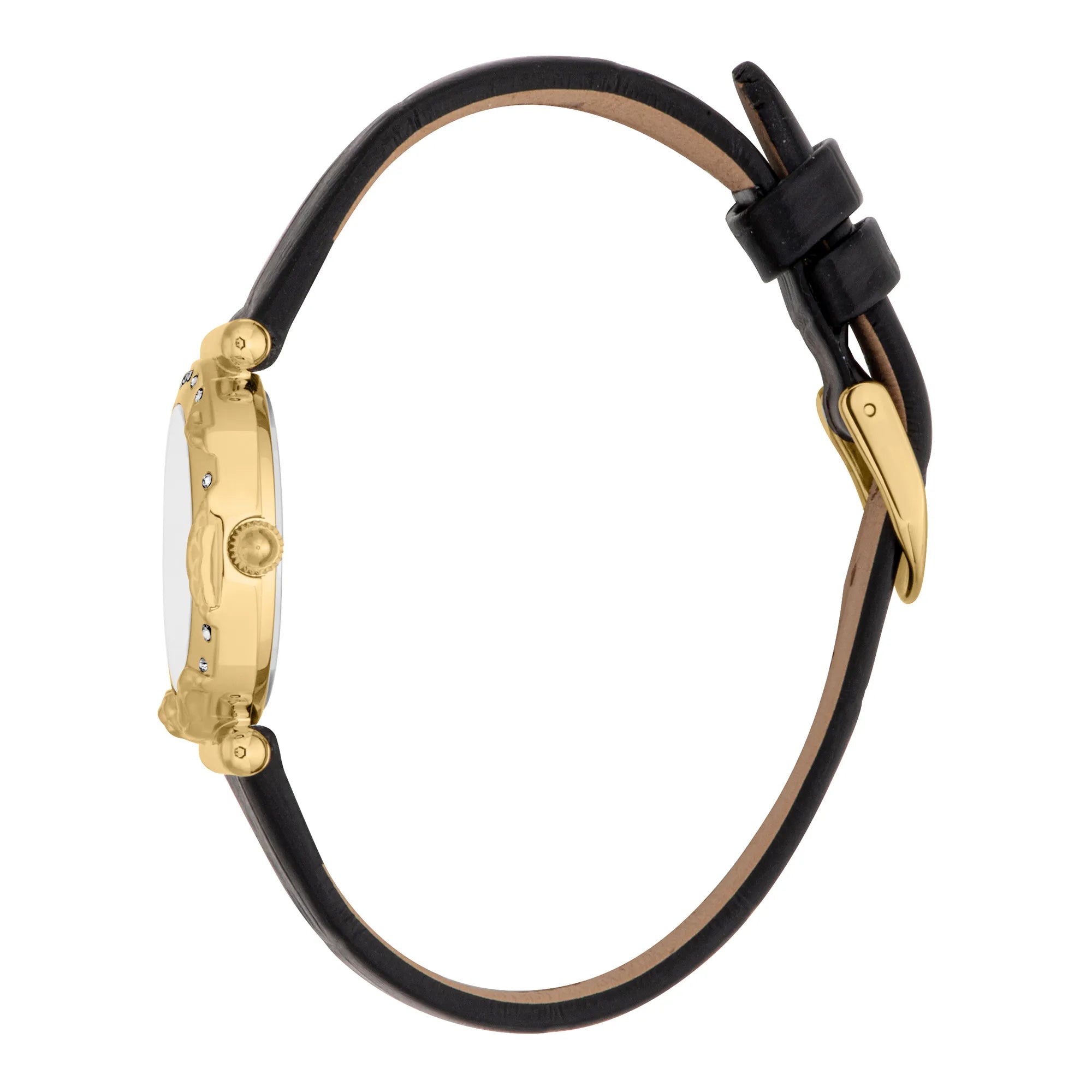 Just Cavalli Stella Snake Leather Black YG Silver - Image 3