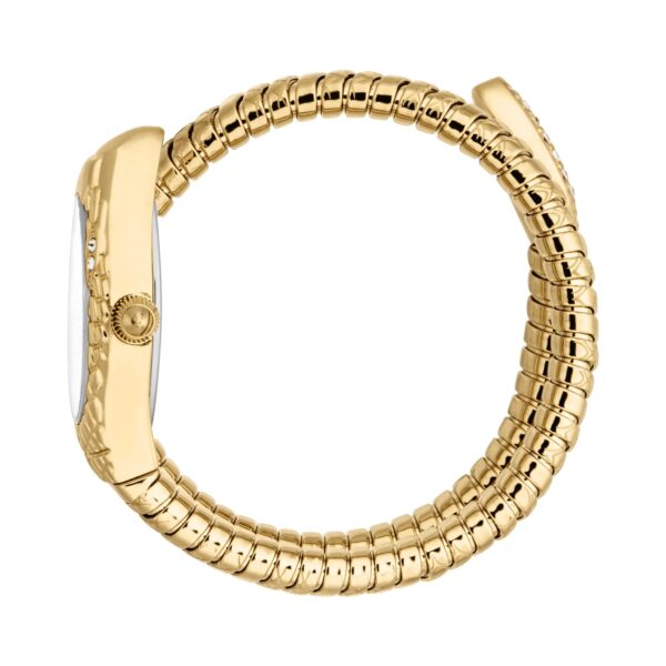 Just Cavalli Vetra Yellow Gold Silver - alternate view