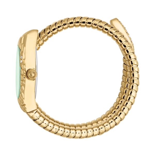 Just Cavalli Vetra Yellow Gold Green - alternate view