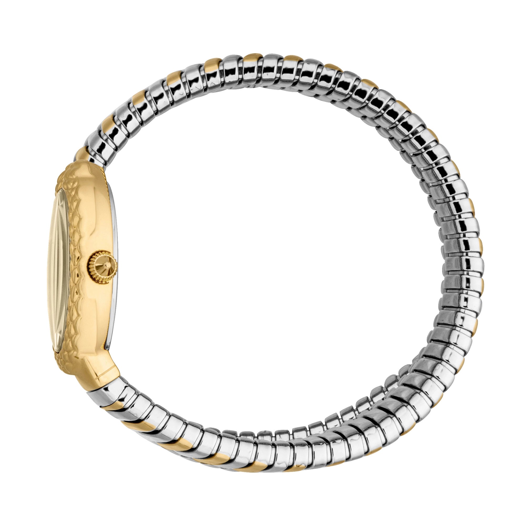 Just Cavalli Sognia Silver Yellow Gold Champagne - Image 3