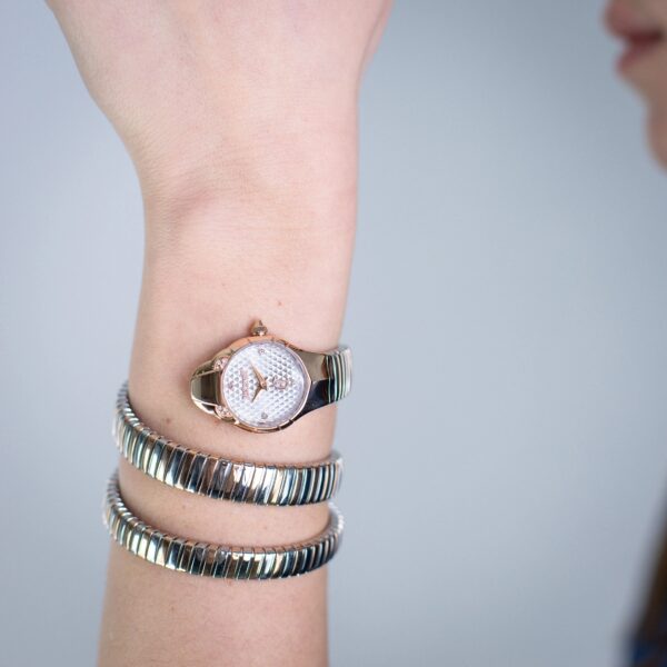 Just Cavalli Amanta Rose Gold Silver - alternate view